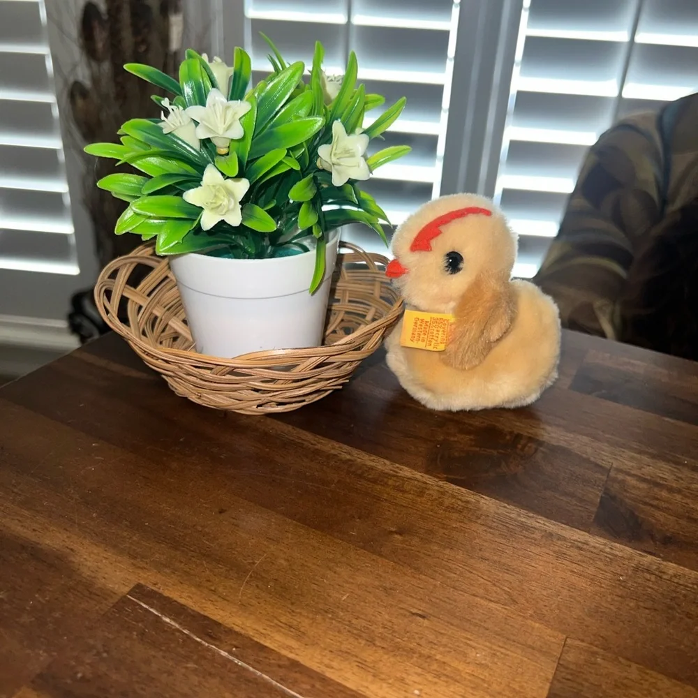 steiff vintage cosy